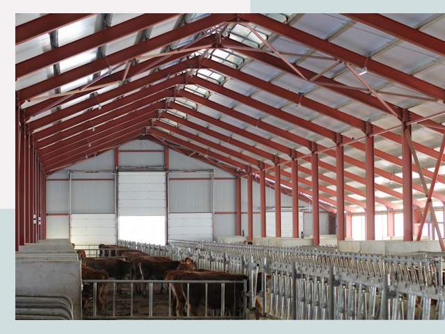 Строительство коровников в Костроме