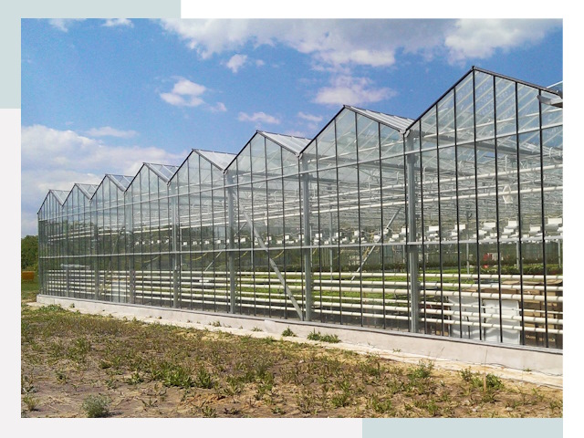 Строительство теплиц в Кострома от 613 руб. за м²